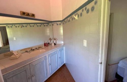 Cuernavaca Casa | Relax and Enjoy Cuernavaca Pet Friendly