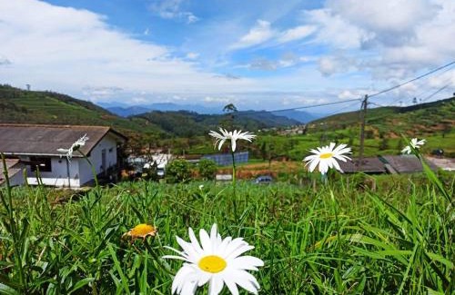 Nuwara Eliya Apartamento | Relax Apartment Toppass