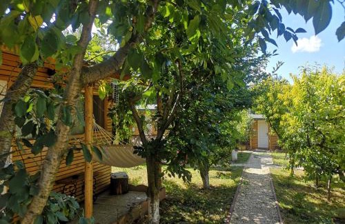 Constanta Cabina | Relax Eaza - Casa cu Hamac