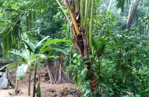 Rambukkana Casa | Relax Home