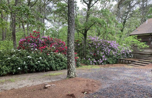 Harwich Casa | Relax in a tranquil log home on direct lake front property. The Hermitage awaits