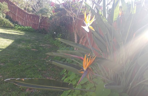 San Marcos Casa | Relax in lush tranquilty
