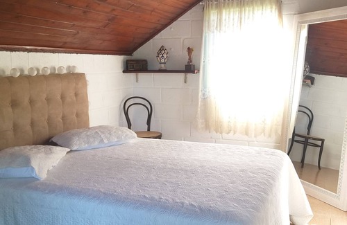 Mury Casa | Rest in the green of the Atlantic Forest.