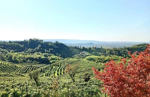 Pederobba Apartamento | Relax nelle colline del Prosecco