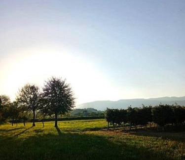 Pederobba Apartamento | Relax nelle colline del Prosecco