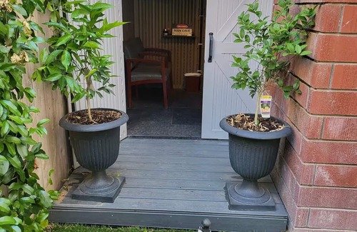 Porterville Casa | Relaxation meets comfort HERE at Redwood Inn
