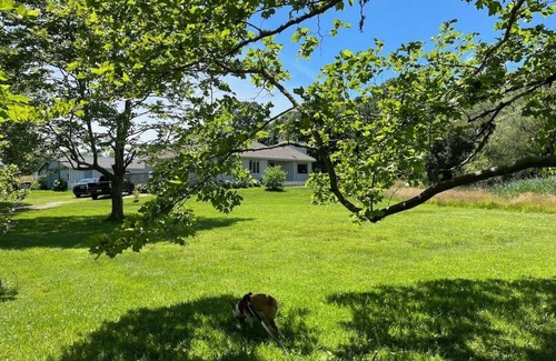 Little Compton Casa | Relaxed Dog Friendly Coastal Retreat