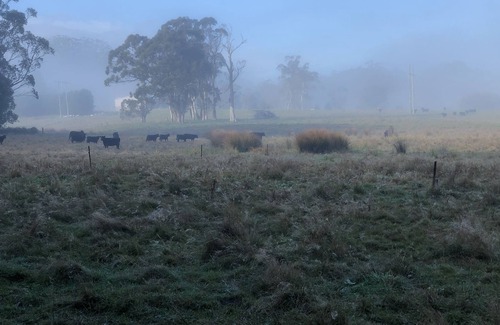 Burrawang Casa | Relaxing at acreage farmhouse