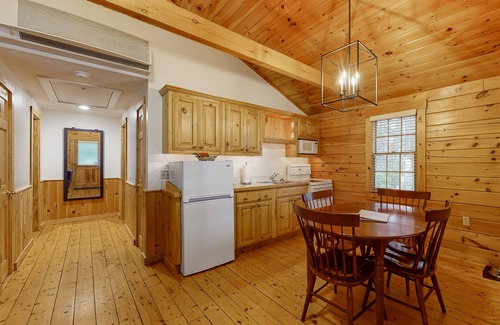 Northport Cabina | Relaxing two bedroom cabin escape w/fireplace, kitchen & wooded views