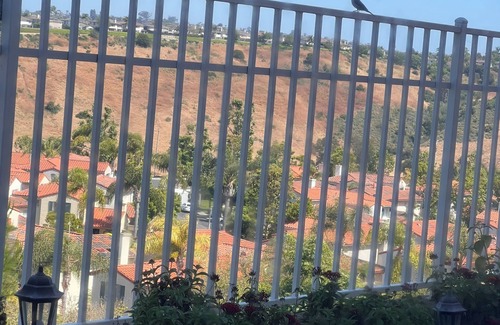 Aliso Viejo Casa | Relaxing view, a few minutes from beach