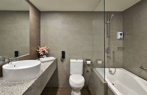 Orchard Hotel | RELC International Hotel (SG Clean)
