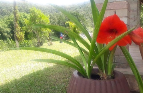 Bom Jardim de Minas Otro | Relva Molhada - Bom Jardim de Minas