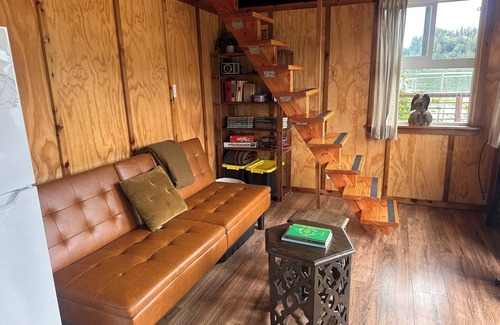 Lakeside Cabina | Remote 1 BR Lakefront Cabin. Features a King loft bed with lake views, private dock, and provided paddleboards/kayaks. Perfect for fishing, stargazing, and quiet nature escapes.