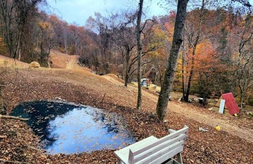 Coal Fork Chalet De Esquí | Remote Mountain A-Frame with BBQ Perfect for Nature Lovers in West Virginia