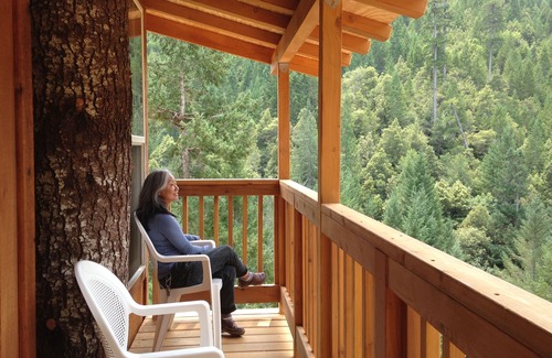 Gasquet Cabina | Casa en el árbol remota fuera de la parrilla rústica