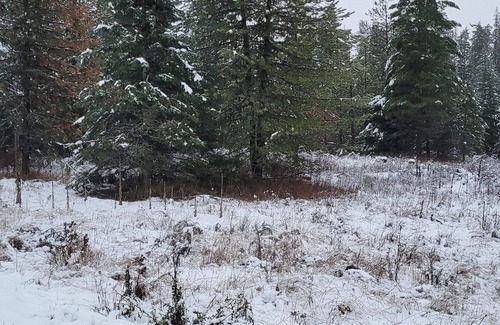 Harvard Alquiler De RV | Remote RV site w/o hookups. Perfect for campers under 30 feet. Site C.