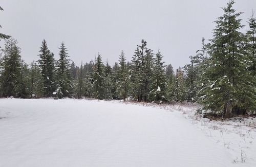 Harvard Alquiler De RV | Remote RV site w/o hookups. Perfect for campers under 30 feet. Site C.