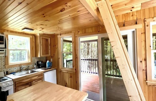 Dailey Cabina | Remote Tiny Cabin/Mountain Hiking/National Forest!