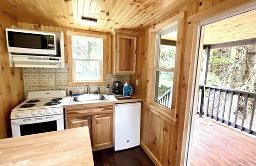 Dailey Cabina | Remote Tiny Cabin/Mountain Hiking/National Forest!