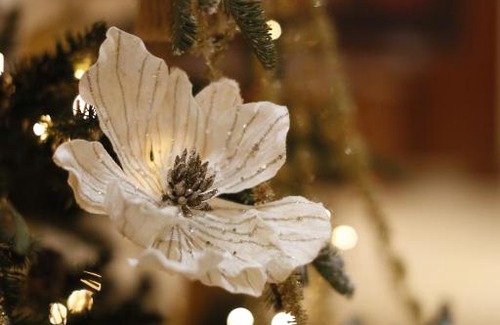 Begovoy Hotel | MonArch Moscow Hotel