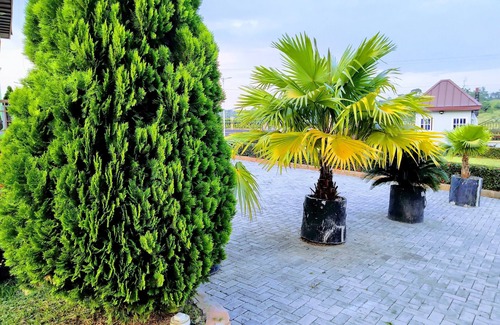 Kubease Apartamento | Centro Exclusivo Renajoe