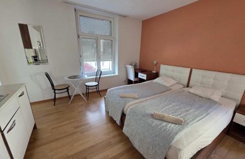 Enge Apartamento | Renovated Apartment Near Zurich Lake Sees Self Checkin