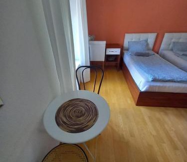 Enge Apartamento | Renovated Apartment Near Zurich Lake Sees Self Checkin