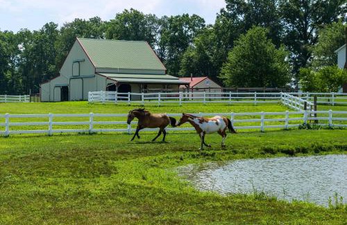 Perrysville Apartamento | Renovated Bunkhouse on 12-Acre Horse Farm!