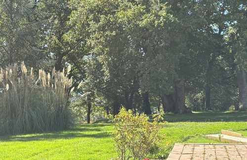 Bezac Otro | Renovated hilltop farmhouse property 17 hectares, gorgeous views close to Bonnac
