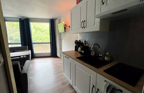 Villard-de-Lans Apartamento | Studio renovierter Fuß der Pisten