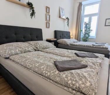 Wahring Apartamento | Renovated Studio - 10 min to Center