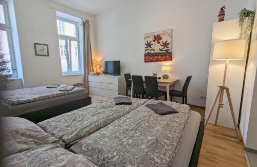 Wahring Apartamento | Renovated Studio - 10 min to Center