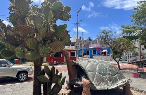 Puerto Baquerizo Moreno Apartamento | Rent Apartments Finch Nest