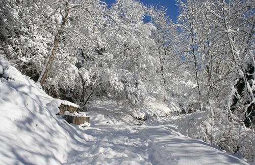Saint-Lary-Soulan Apartamento | Alquilo apartamento con garaje en Saint-Lary-Soulan