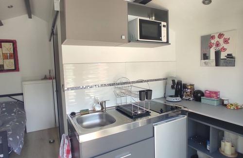 Sainte-Croix-en-Plaine Chalet De Esquí | Rent fully equipped gite 20 square meters with terrace and shared pool access