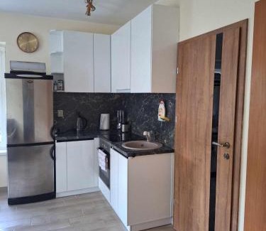 Kaunas Apartamento | Rent Olamit