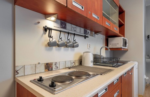 Koscielisko Apartamento | RentPlanet - Apartament Rysulówka