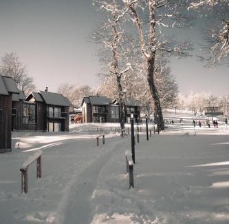 Lanin National Park Casa | RentUp - Experimenta la belleza de San Martin de los Andes