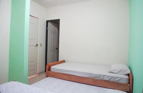David Apartamento | RequenaS