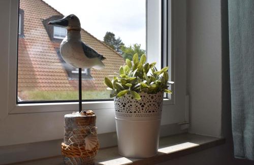 Ostseebad Prerow Apartamento | Resi E05