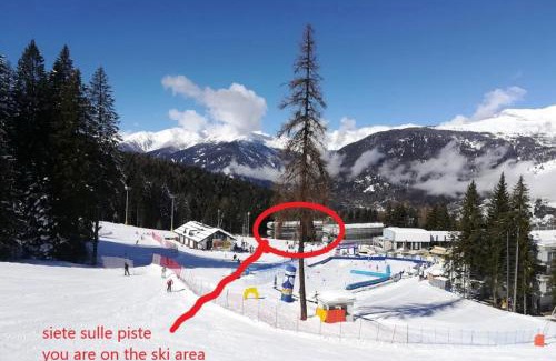 Marilleva Apartamento | RESIDENCE ARTUICK AP.556 DIRETTAMENTE SULLE PISTE