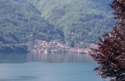 Tremezzo Apartamento | Residence Belvedere Apartment Volesio