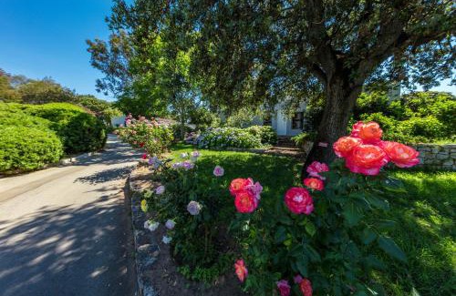 Grosseto-Prugna Apartamento | Residence Club Marina Viva