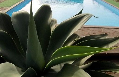 Pantelleria Apartamento | Residence Cuore Mediterraneo
