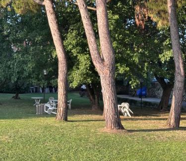 San Felice del Benaco Casa | Residence L'Oliveto Garden and Swimming pool