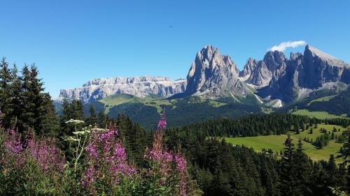 Ortisei Apartamento | Residence La Planta