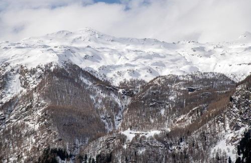 Campodolcino Apartamento | Residence Larice Bianco App n3
