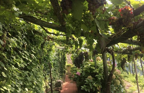 Ravello Apartamento | Residence Le Villette
