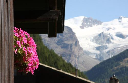 Champoluc Apartamento | Residence Les Coupoles