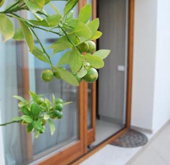 Old Town Apartamento | Residence Rapisardi by RECEPTIO